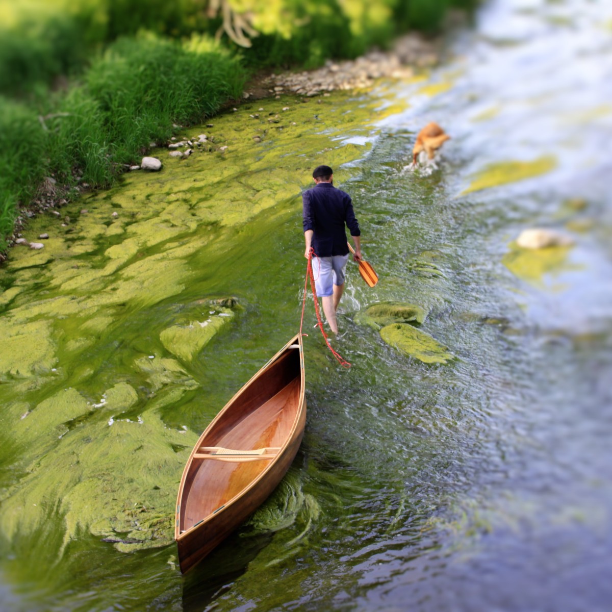 Solo Canoe on the Avon River